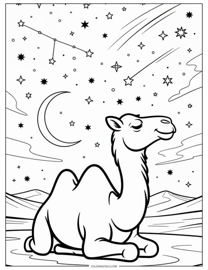A camel sitting down, looking up at a vast star-filled night sky.