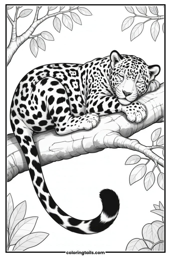 A peaceful jaguar resting on a tree branch, its spots patterned with delicate detailing for coloring fun.