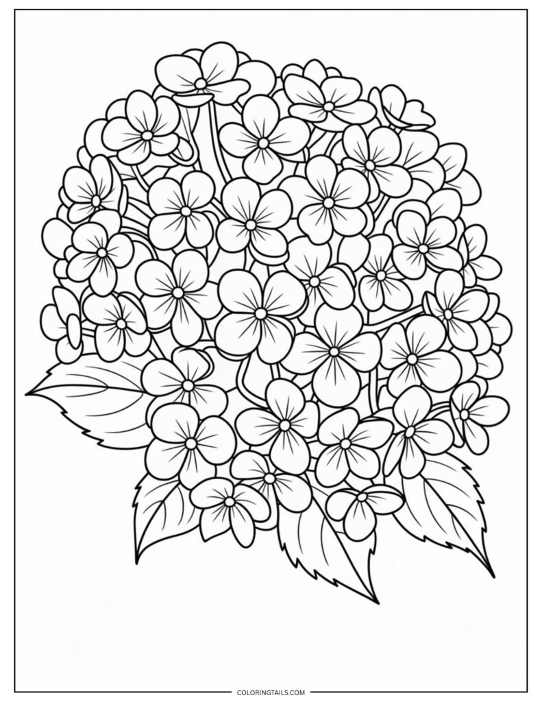 A dense cluster of hydrangea flowers made up of many small blooms. A delightful challenge for detail lovers.