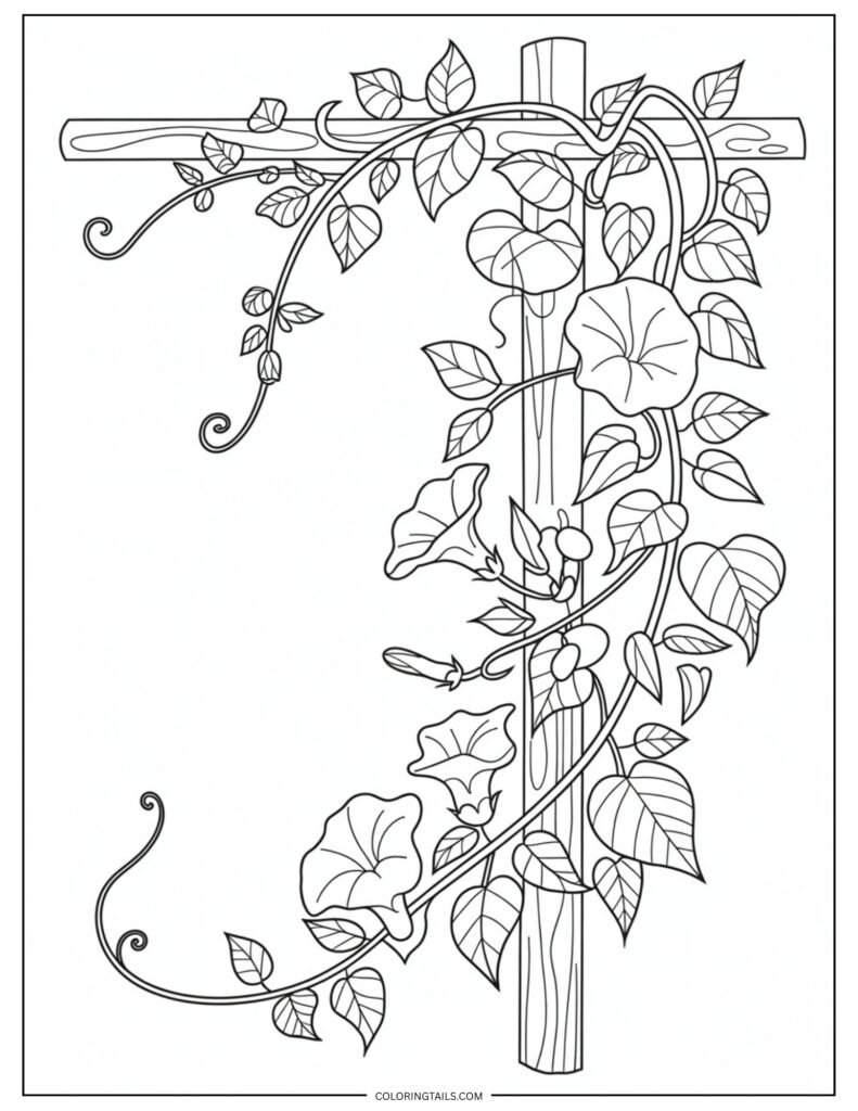 A twisting vine of morning glories with open flowers and curling tendrils. Offers a flowing, organic layout.