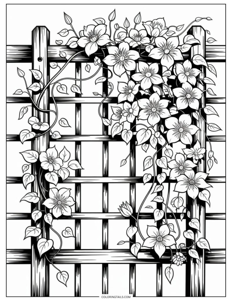 A trellis covered with clematis flowers and climbing vines. The mix of flowers and geometric trellis creates a lovely contrast.
