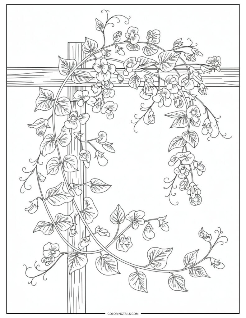 A winding sweet pea vine filled with delicate blossoms and curling tendrils. Its soft, airy feel is perfect for light and pastel colors.