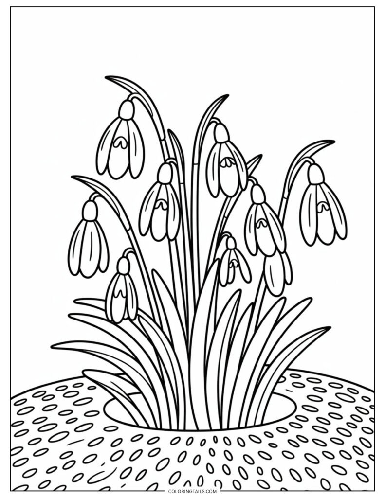 A simple, serene cluster of snowdrops, shown emerging from the ground. Their drooping, bell-like flowers invite subtle color choices.