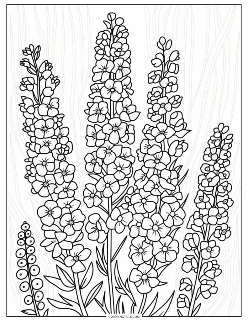 Tall spikes of delphinium flowers, each stalk filled with tiny blossoms. A great option for gradient coloring effects.