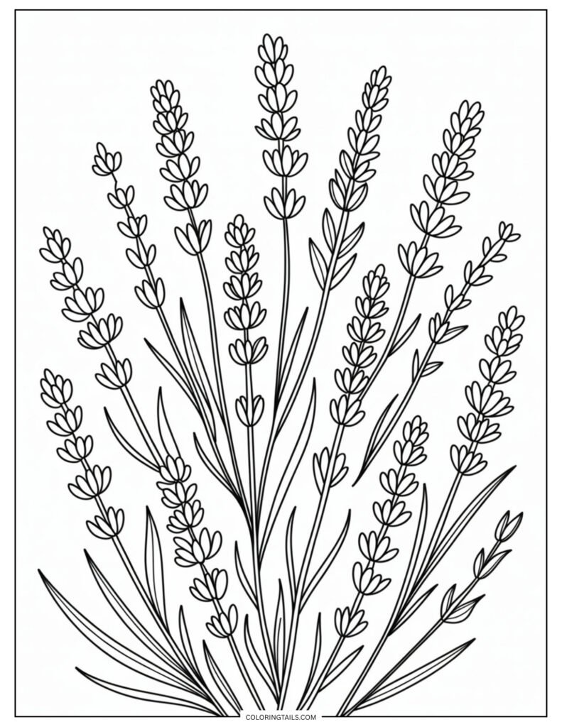 Tall, thin lavender stalks bundled together. The repeating floral pattern is ideal for practicing gradients and muted tones.