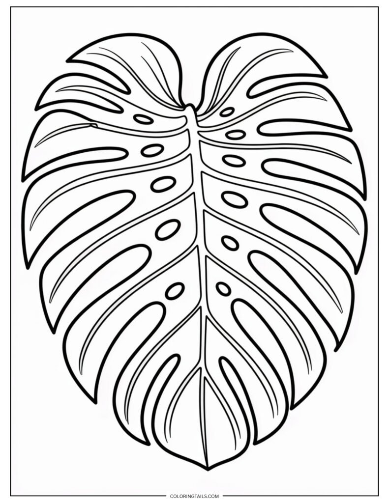 A large monstera leaf with bold splits and tropical flair.