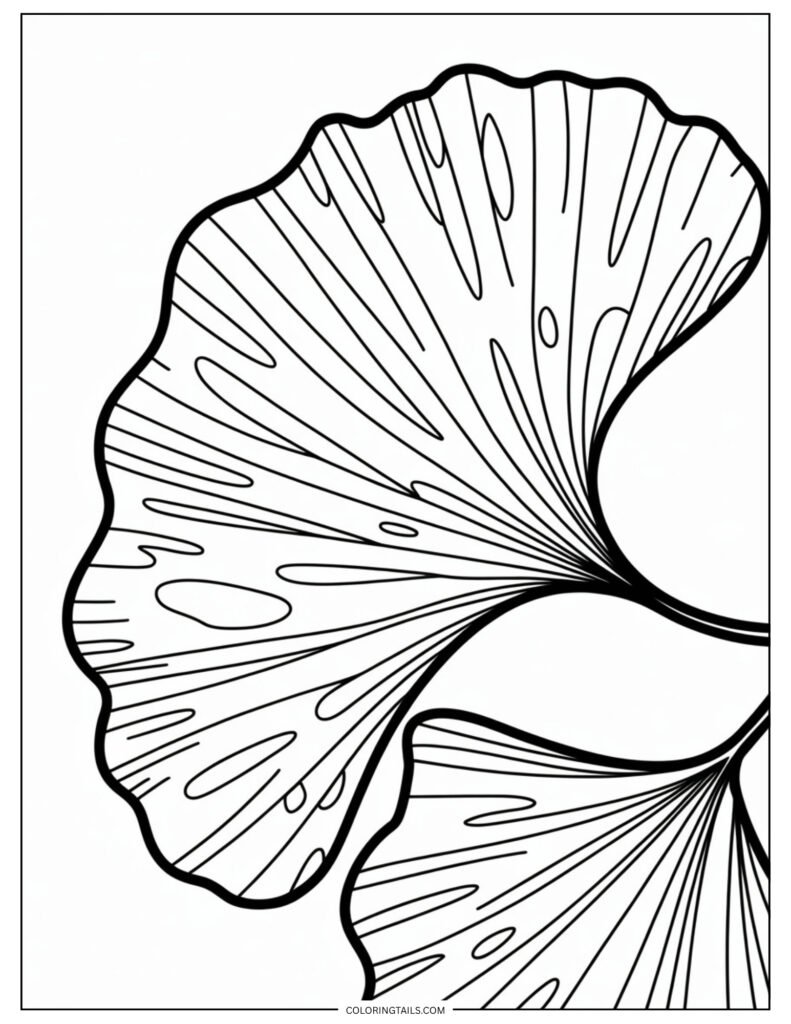 A fan-shaped ginkgo leaf with delicate, wavy vein lines.