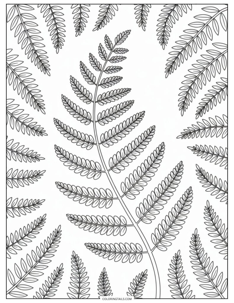 An elegant fern with tiny repeating leaves curling down its stem.