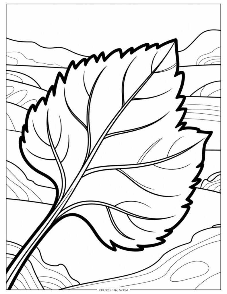 A single sunflower leaf with rough edges and thick veins.