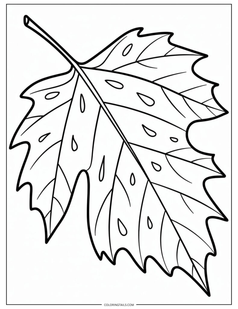 A leaf that looks like it has a small bite taken out of it.