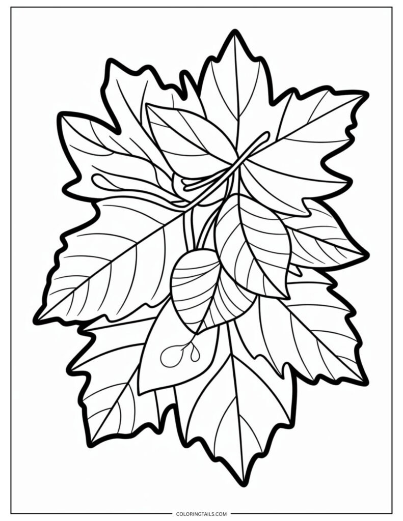 Several leaves stacked in layers, showing off their shape and size.