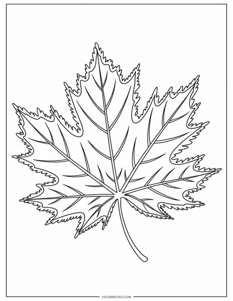A single leaf edged in frost with crisp icy lines.