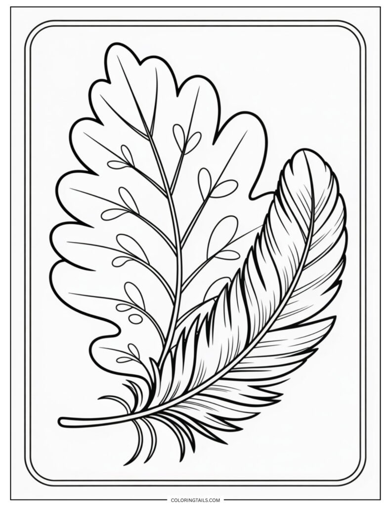 A soft feather resting beside a detailed leaf in contrast.