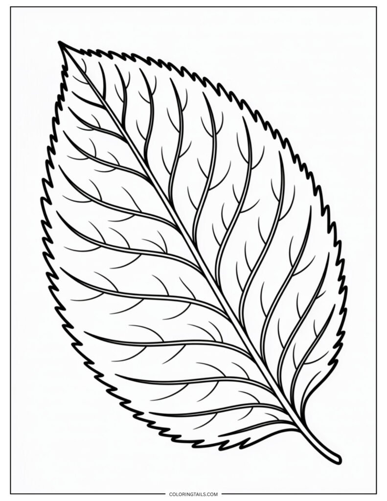 A dried-up leaf curled in on itself with crisp edges.