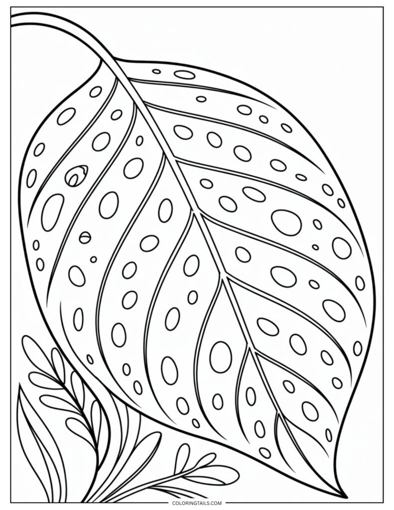 A smooth leaf covered in morning dew droplets.