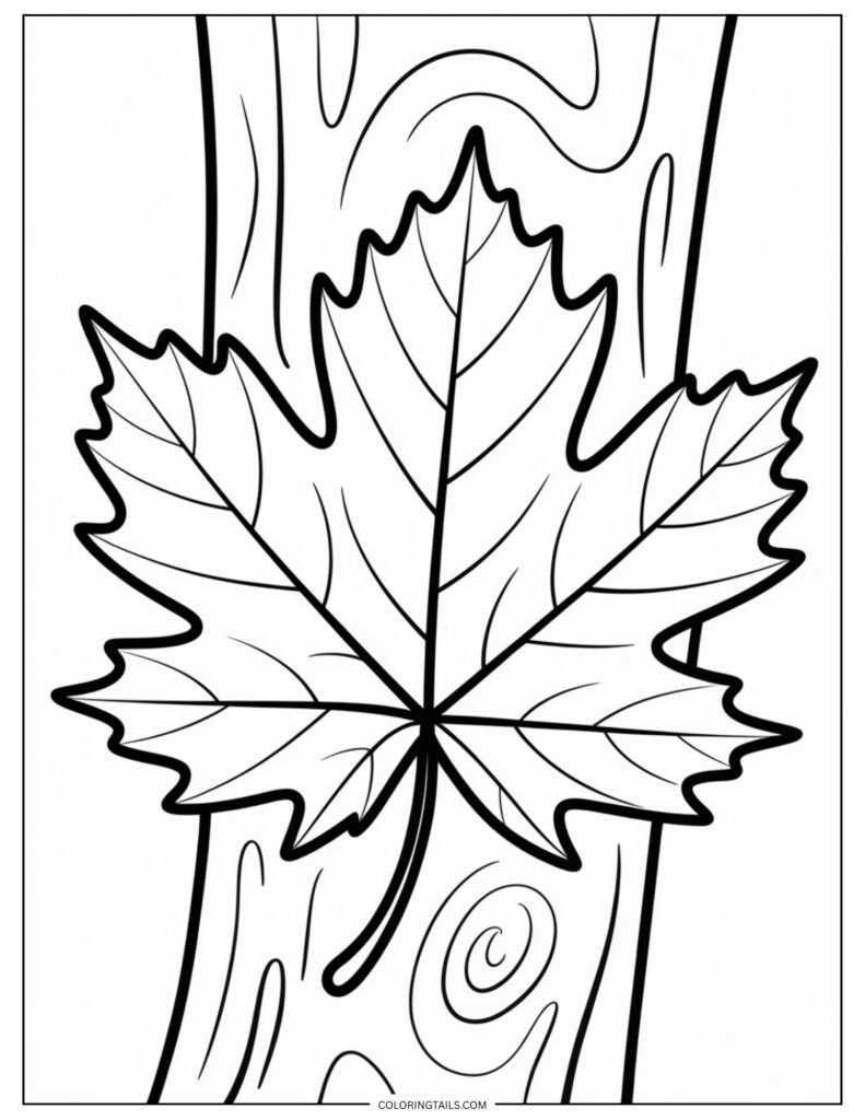 A single maple leaf with crisp edges and deep autumn veins ready for coloring.